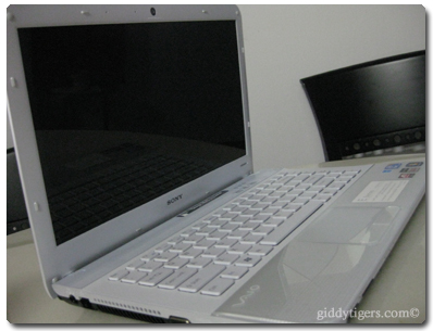 vaio1